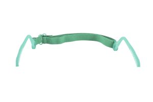 #color_Clear Green