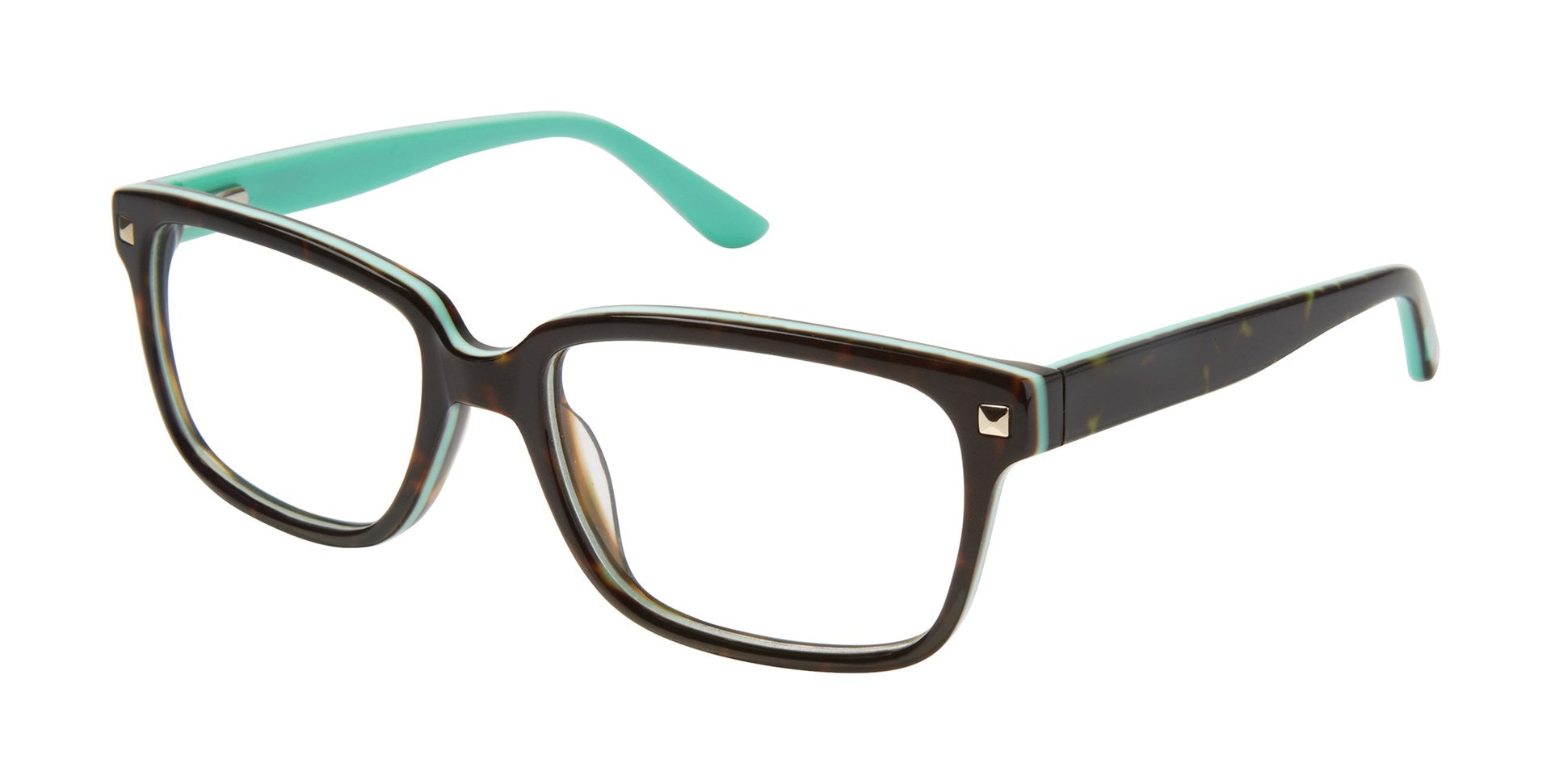 #color_Tortoise